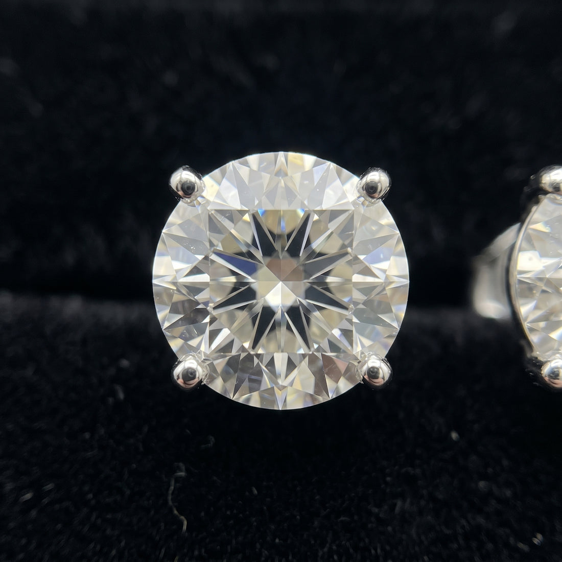 Monarch Radiance Round Stud Earrings