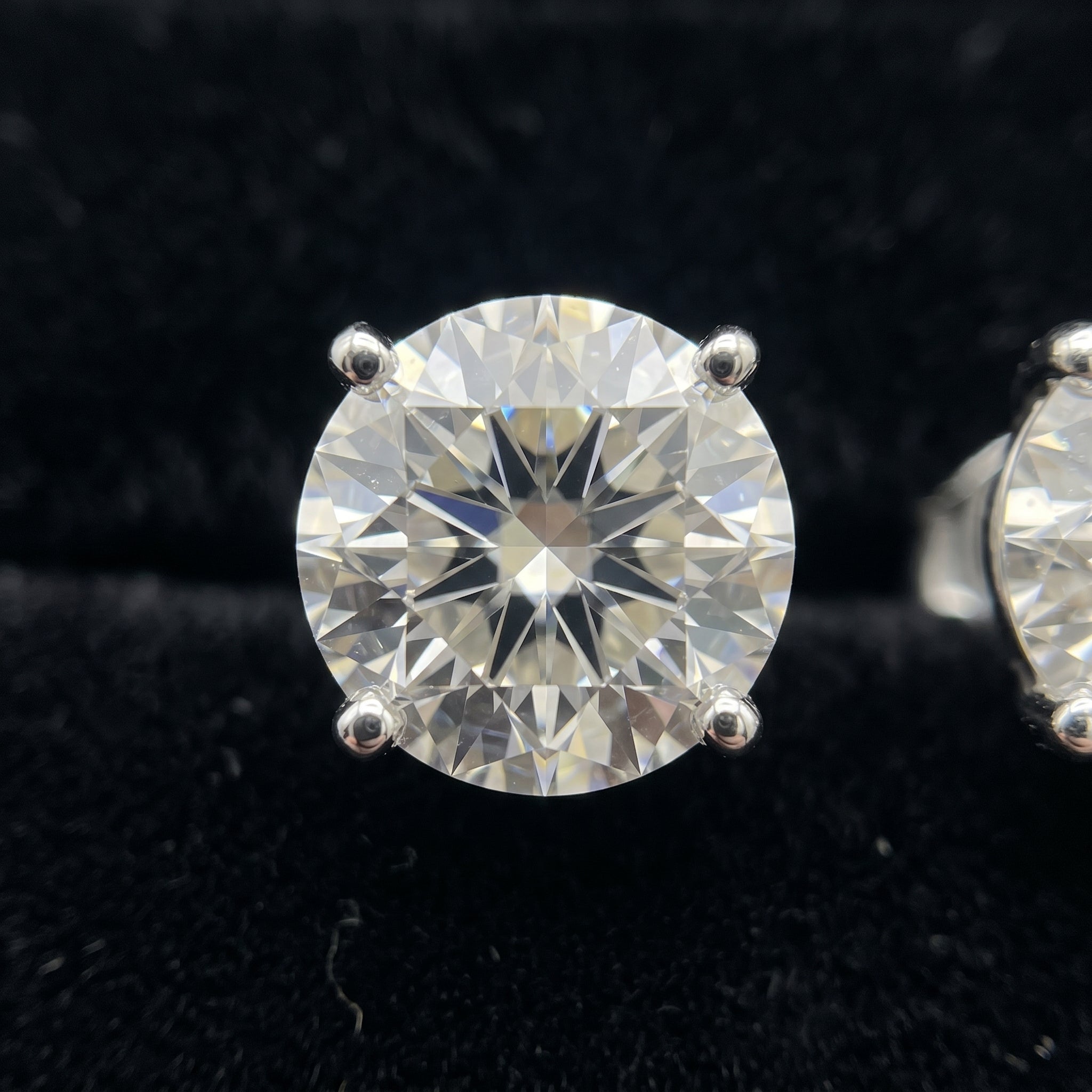 Monarch Radiance Round Stud Earrings