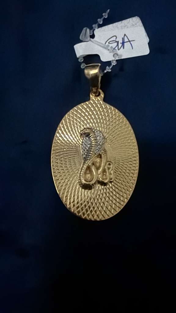 Royal Serpent Medallion Pendant