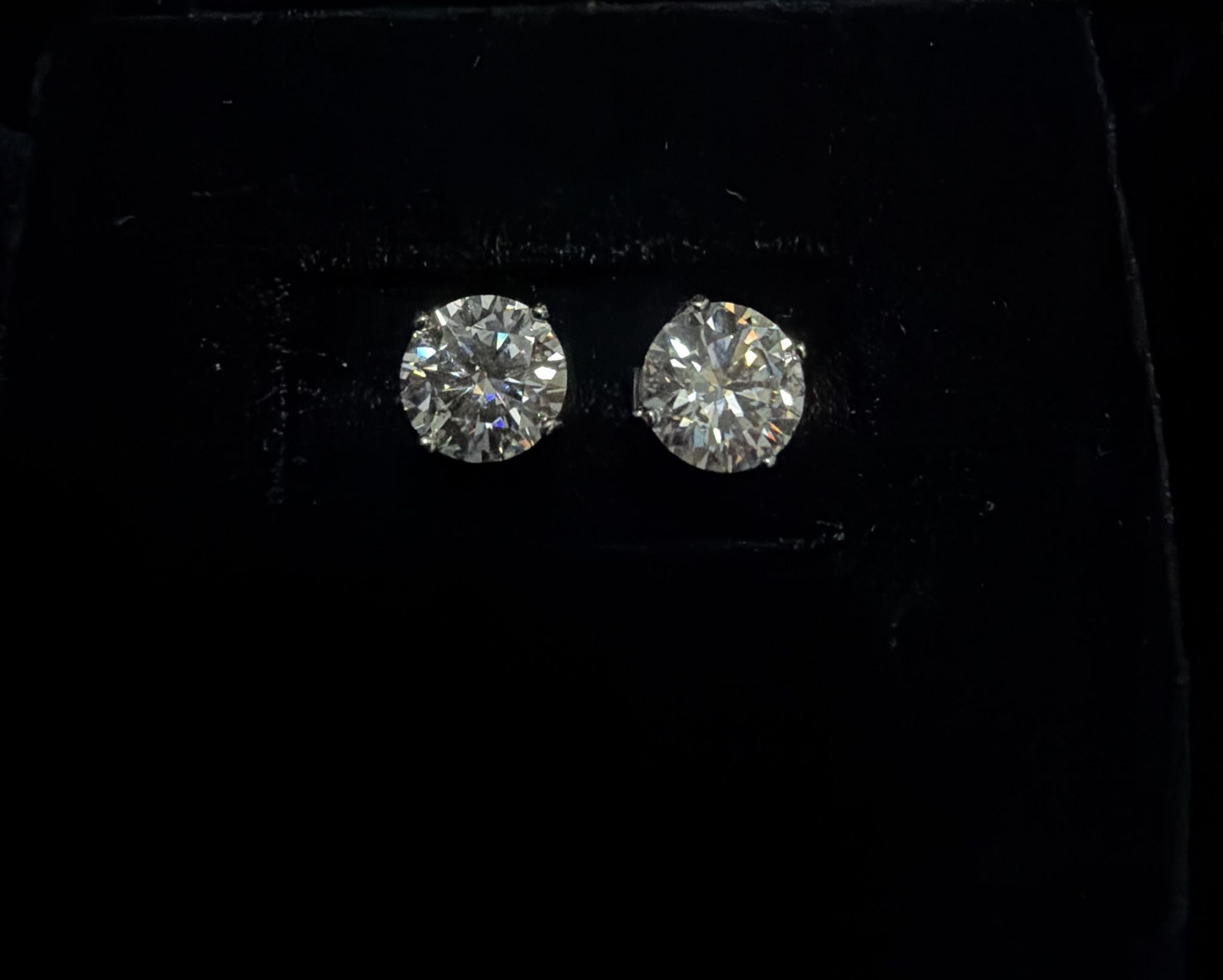 Monarch Radiance Round Stud Earrings