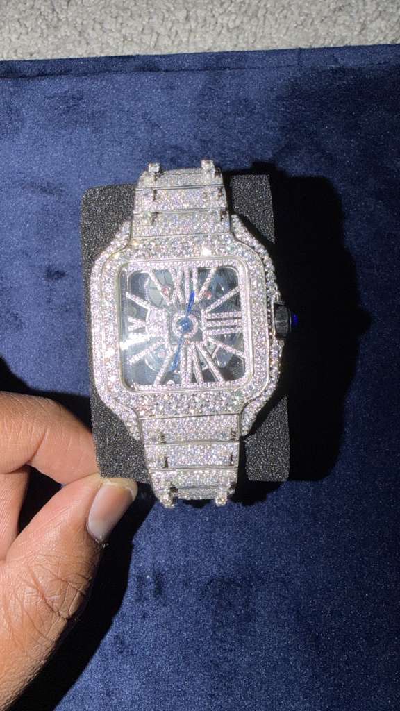 The Santos de Cartier Skeleton Bustdown