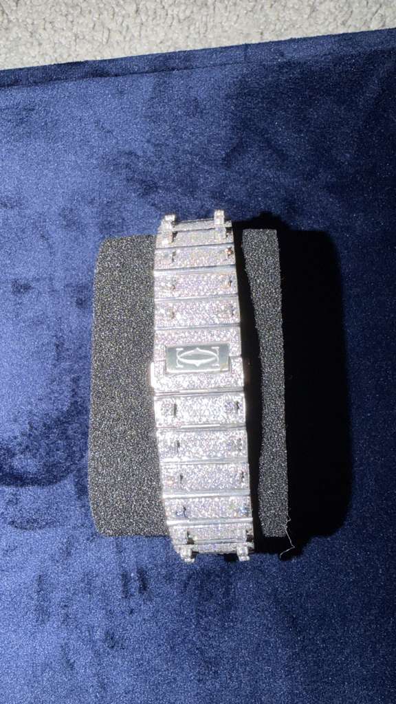 The Santos de Cartier Skeleton Bustdown